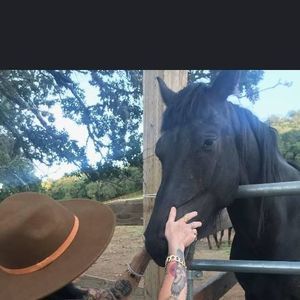 Meet your Posher, Sybil